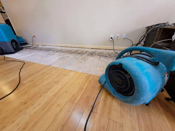 Professional Sewage Cleanup technician working in Beech Bluff, TN